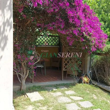Bouganville San Vincenzo